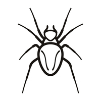 DFNT_Spinne_Produkt.jpg