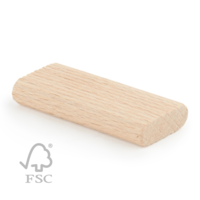 domino_fsc.png