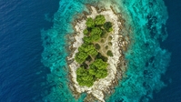 tene_nature_widescreen_may_2019_001_2885729.jpg